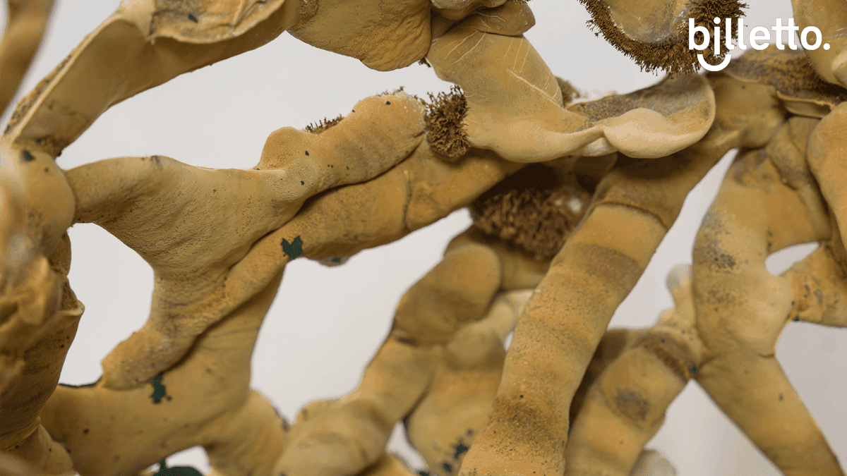 Masterclass af billedkunstner Pernille Emilie Kjær: Rhizomatiske formationer: mycelium som materiale og metode (del 2)
