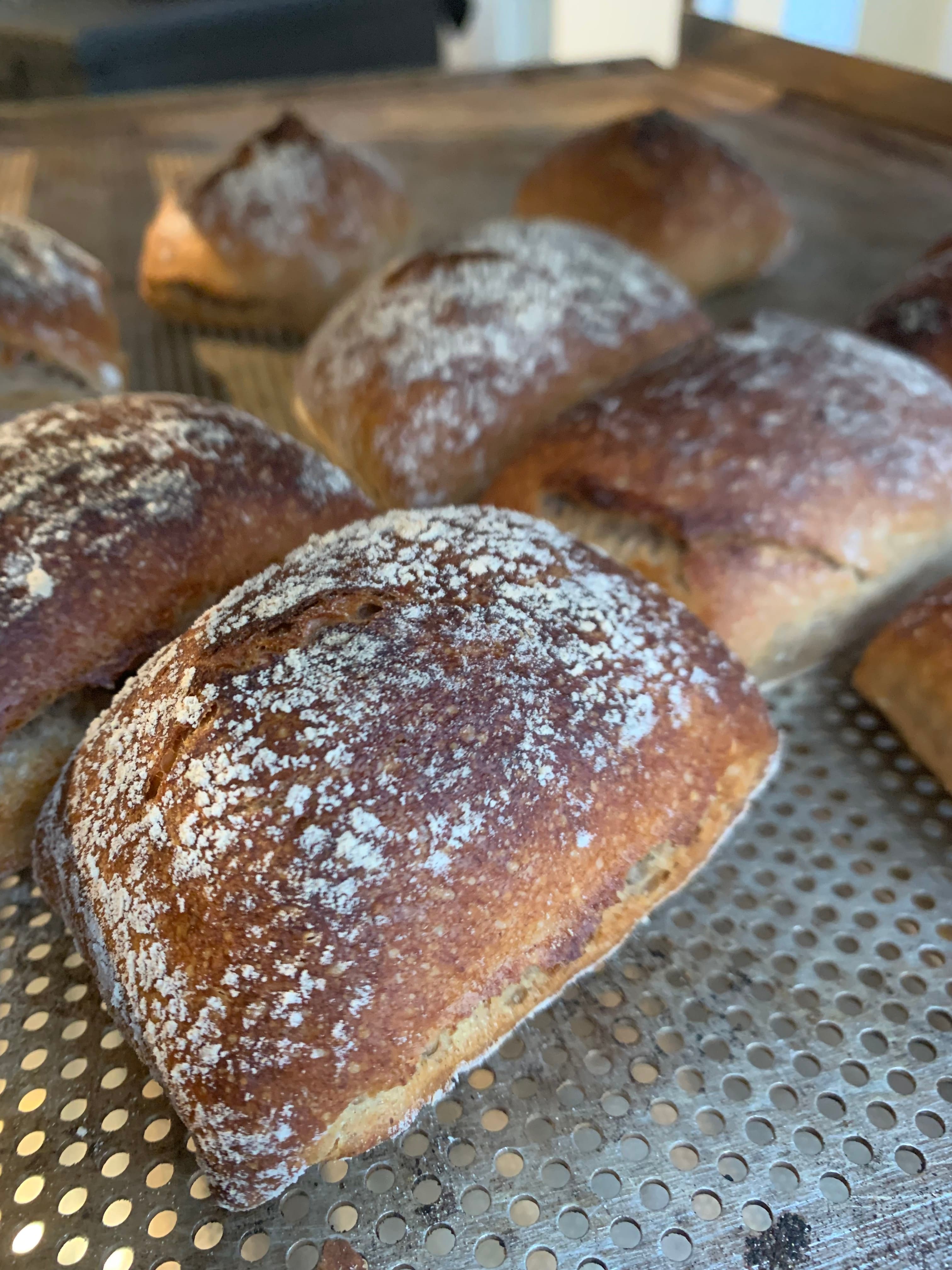 A journey from grain to bread for primary schools