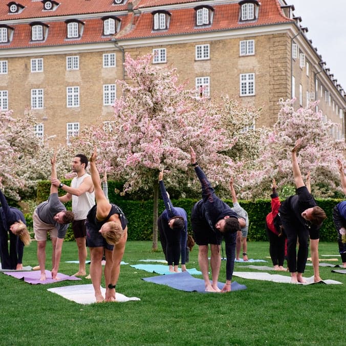 Yoga in The King's Garden - Hatah Yoga