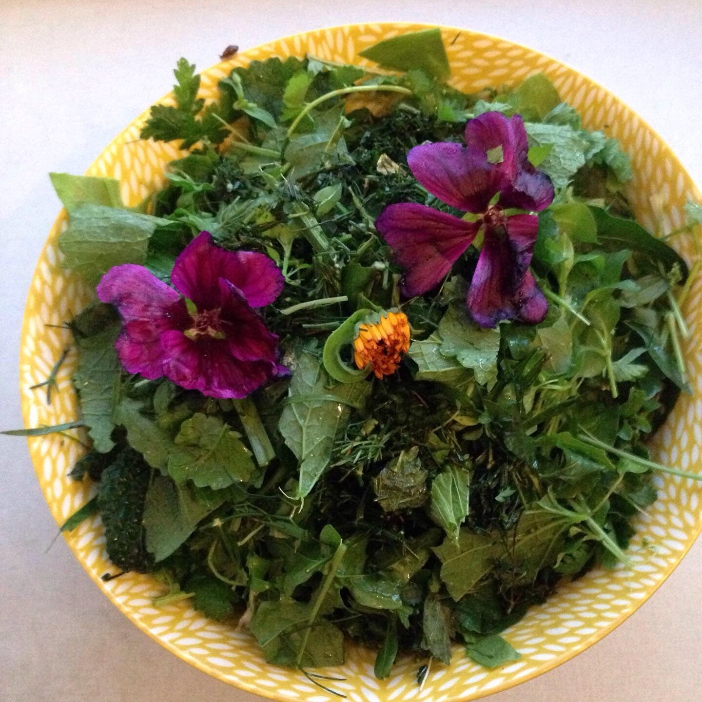 Den spiselige have/altan / The edible garden/balcony