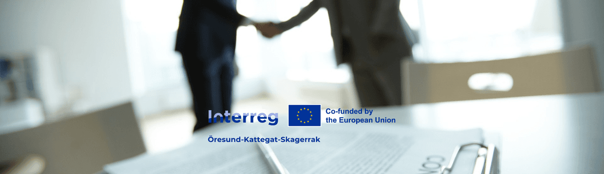 Understanding the Danish Job Market: Rights, Rules & Responsibilities