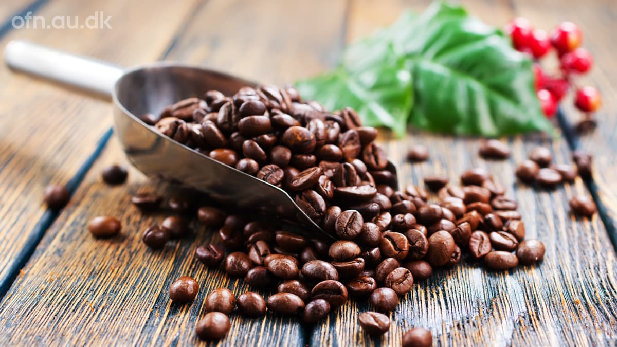 Fordyb dig i naturvidenskab - Kaffe